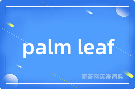 palm leaf