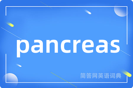 pancreas
