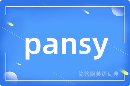 pansy