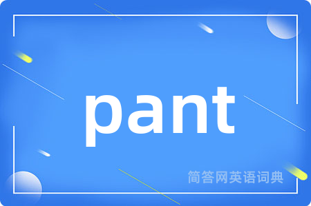 pant