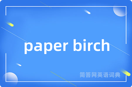 paper birch