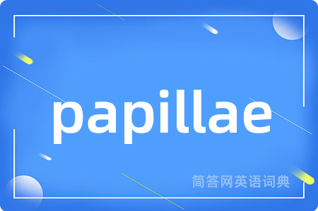 papillae