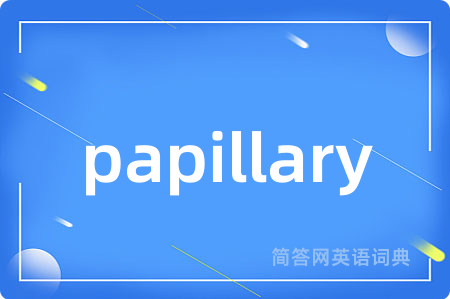 papillary