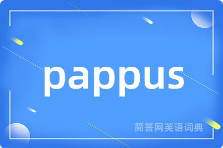 pappus