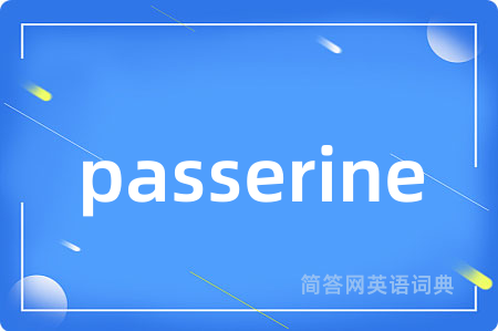 passerine