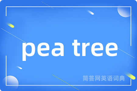 pea tree