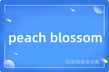 peach blossom是什么意思,peach blossom的中文翻译 peach blossom