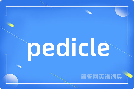 pedicle是什么意思,pedicle的中文翻译 pedicle