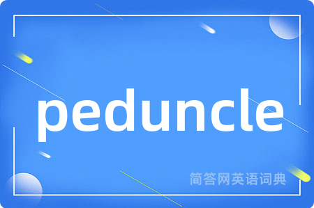 peduncle