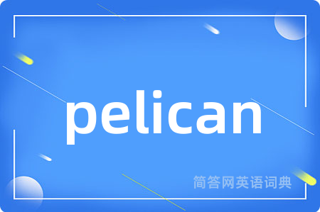 pelican