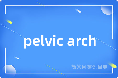 pelvic arch