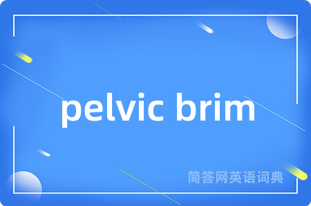 pelvic brim