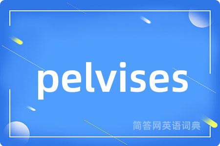 pelvises