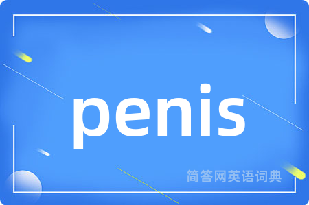 penis