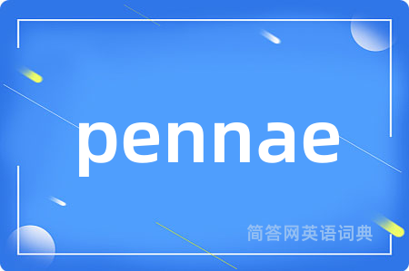pennae