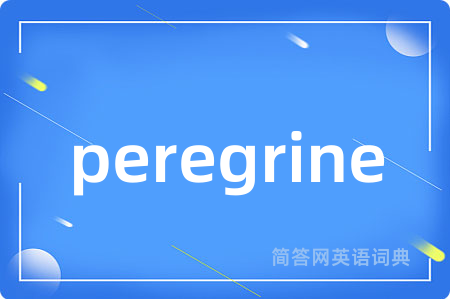 peregrine是什么意思,peregrine的中文翻译 peregrine