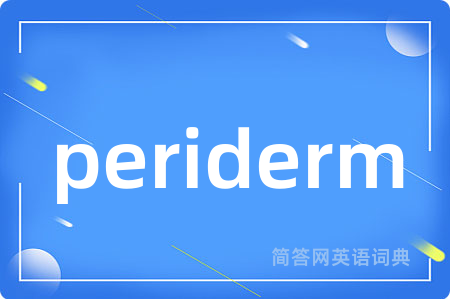 periderm