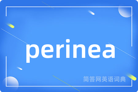 perinea