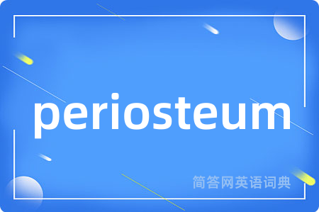 periosteum