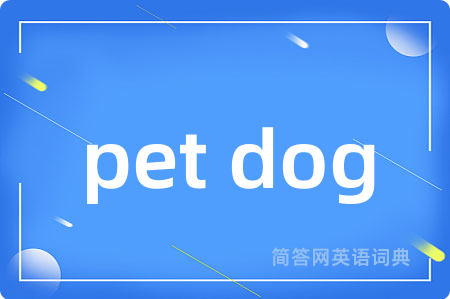 pet dog
