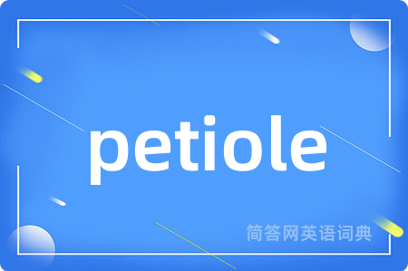 petiole是什么意思,petiole的中文翻译 petiole