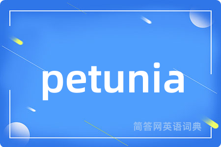 petunia