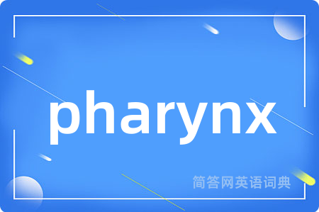 pharynx