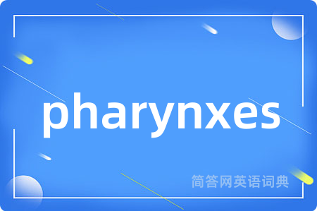 pharynxes