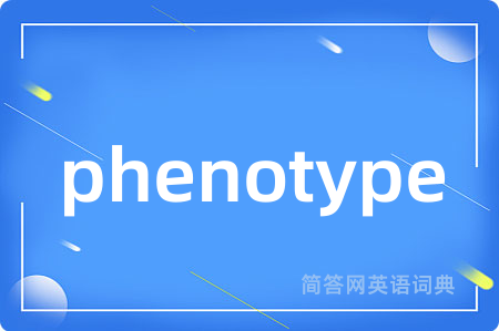 phenotype