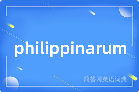 philippinarum
