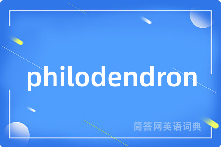 philodendron