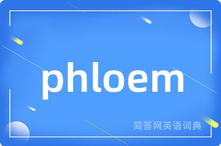 phloem是什么意思,phloem的中文翻译 phloem