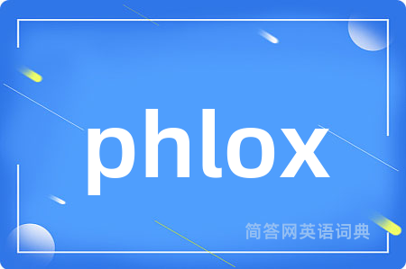 phlox