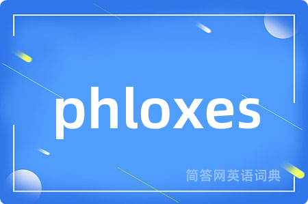 phloxes