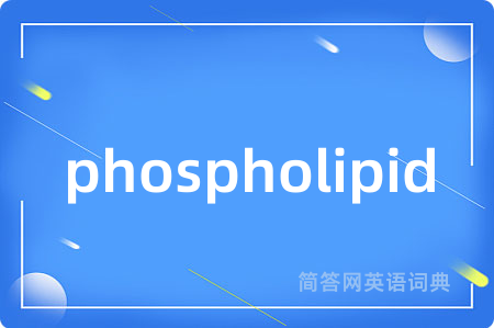 phospholipid