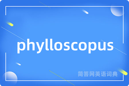 phylloscopus