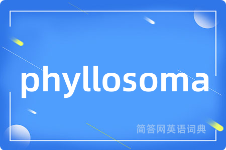 phyllosoma