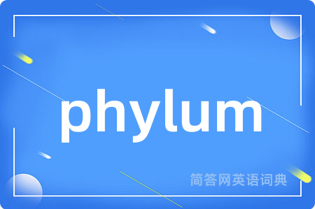 phylum