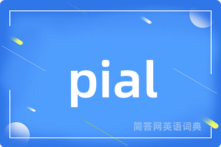 pial是什么意思,pial的中文翻译 pial