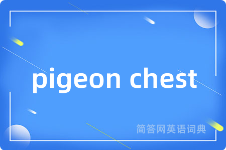 pigeon chest
