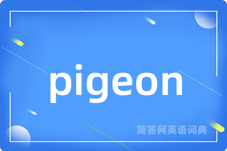 pigeon