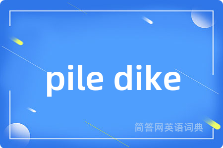 pile dike是什么意思,pile dike的中文翻译 pile dike
