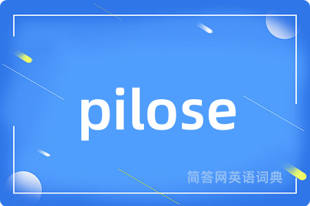 pilose是什么意思,pilose的中文翻译 pilose