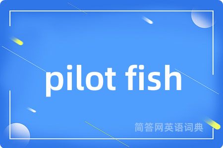 pilot fish