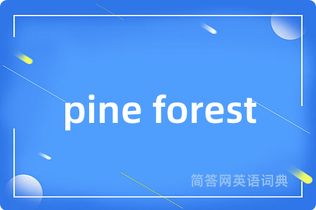pine forest