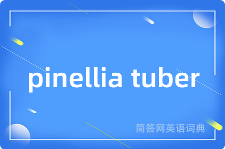 pinellia tuber