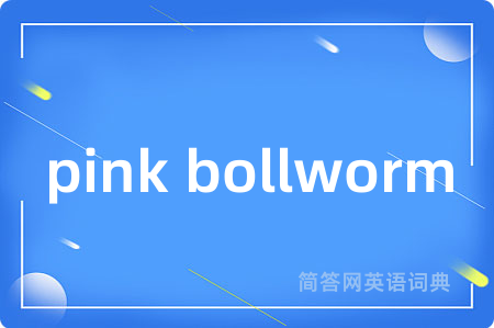 pink bollworm是什么意思,pink bollworm的中文翻译 pink bollworm