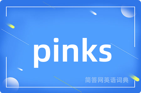 pinks是什么意思,pinks的中文翻译 pinks