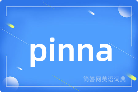 pinna