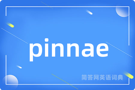 pinnae